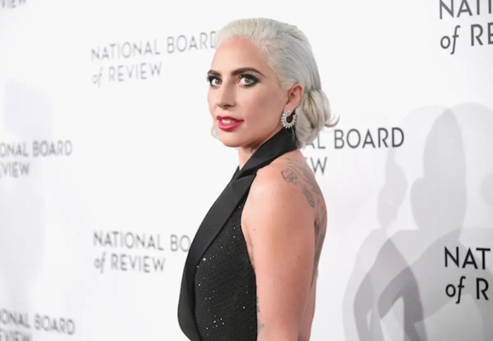 Gaga cylia44 freaking grammy 53rd ironical transcendentalist