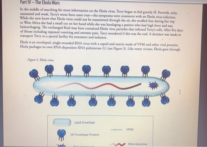 Ebola solved particle