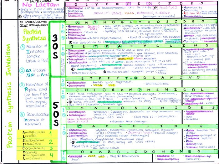 Step 2 biostats cheat sheet